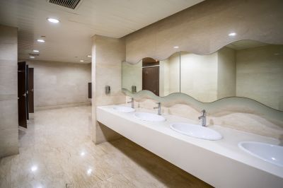 Elegant Master Bathroom